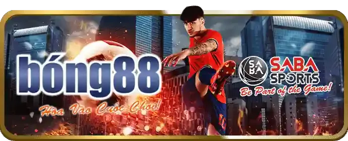 Tỷ lệ thắng cao